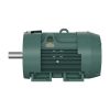 Baldor ECP84407T-5 200 HP TEFC Electric Motor, 1785 RPM, 447T