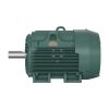 Baldor ECP84411T-5 125 HP TEFC Electric Motor, 1188 RPM, 445T
