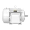 Baldor EWDM4310T 60 HP TEFC Wash-Down Motor, 3-Phase