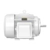 Baldor JMEWDM4314T 60 HP TEFC 3-Phase Electric Motor