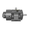 Baldor ZDM4111T Vector Motor, TEBC, 324T Frame, 6-Pole