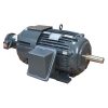 Nidec B100T2B 100 HP TEBC/TENV Electric Motor, 1800 RPM