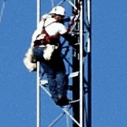 Rohn VP15065 Rohn 65G Tower 150 Foot Climbing Safety Cable System - Vp15065