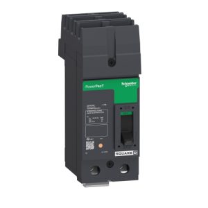 Schneider Electric QJA221002 Circuit breaker, PowerPacT Q, 100A, 2 pole, 240VAC, 100kA